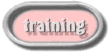Training Options