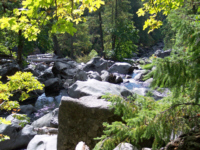 Fall Foliage on the Upper Rogue