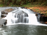 Falls near Triangle Lake